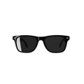 Green Lion Paris 2 Smart Glasses