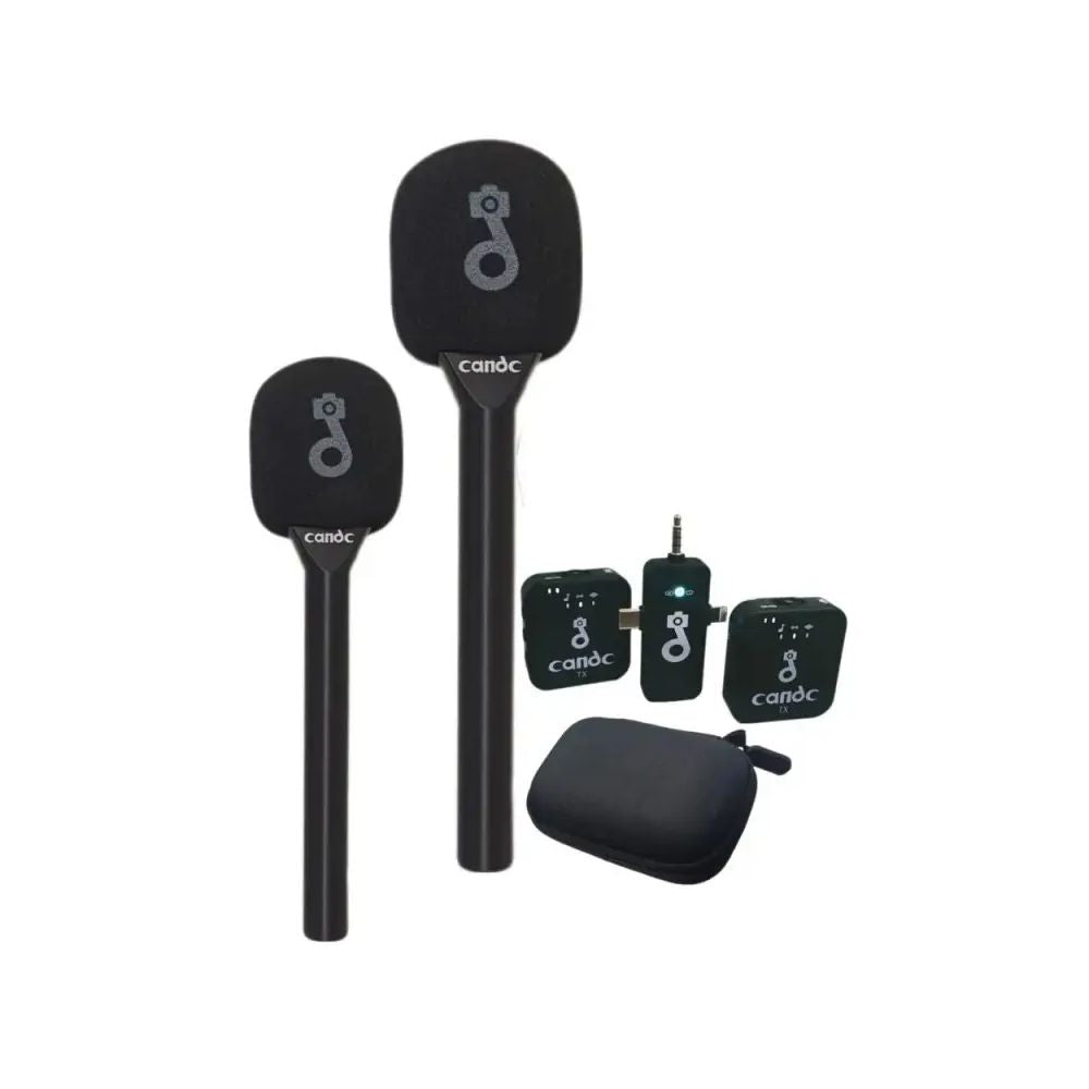Candc Dual Mic Interview Microphone, Price In