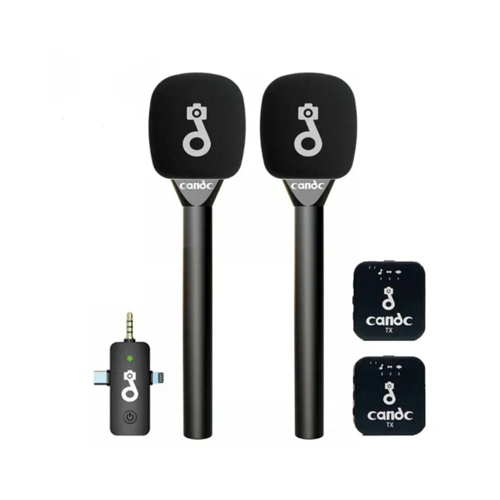 Candc Dual Mic Interview Microphone, Price In