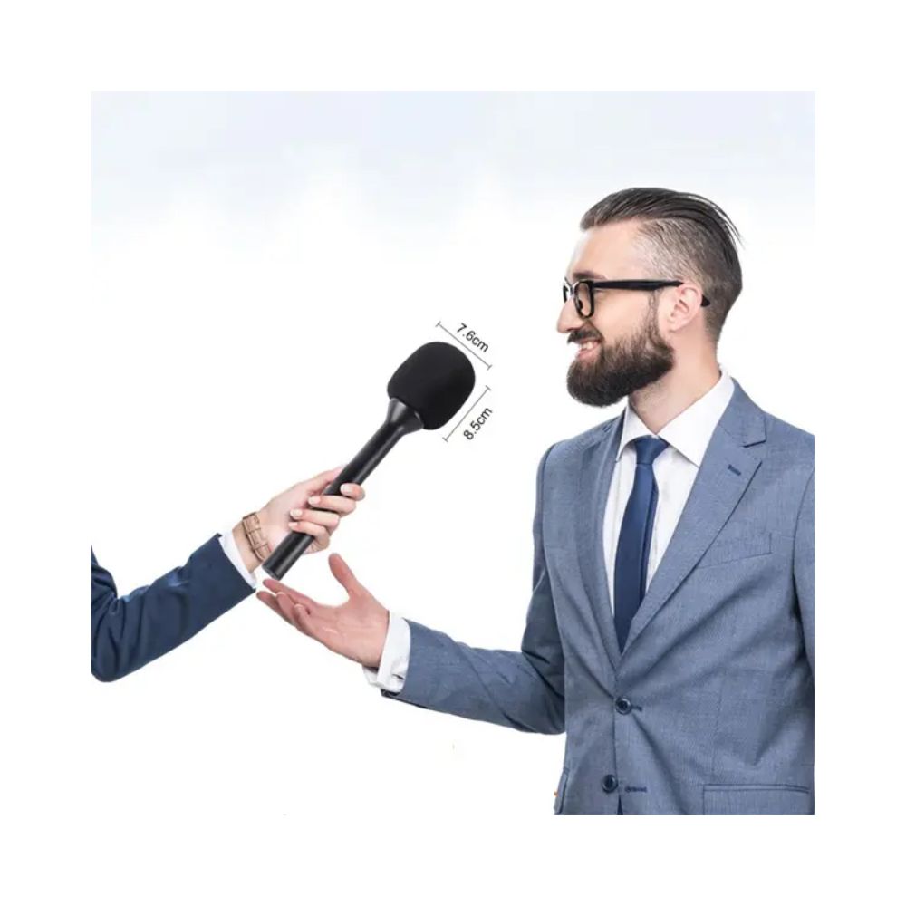 Candc Dual Mic Interview Microphone, Price In