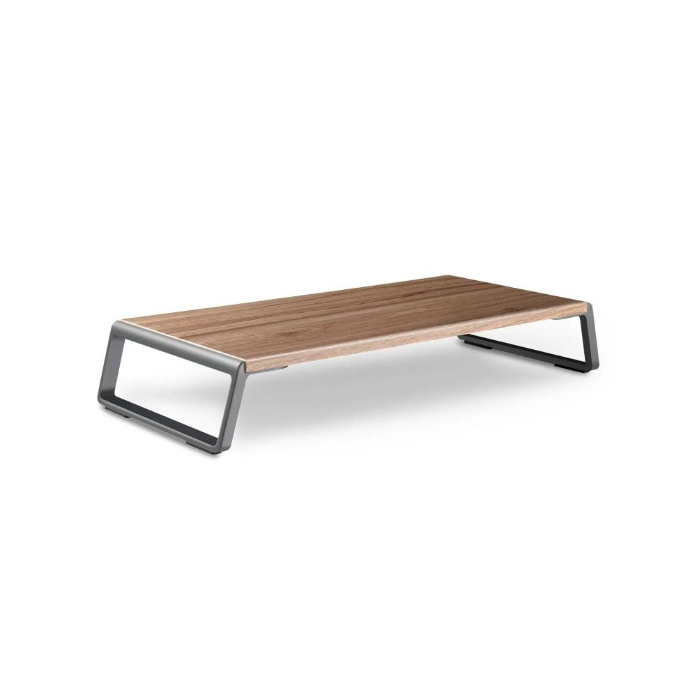 Laptop and Computer Monitor Riser Stand