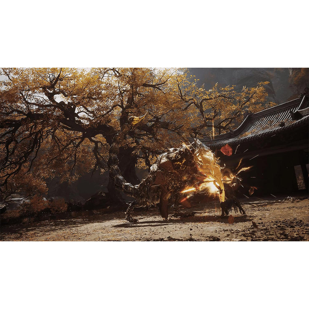 Black Myth: Wukong for PS5