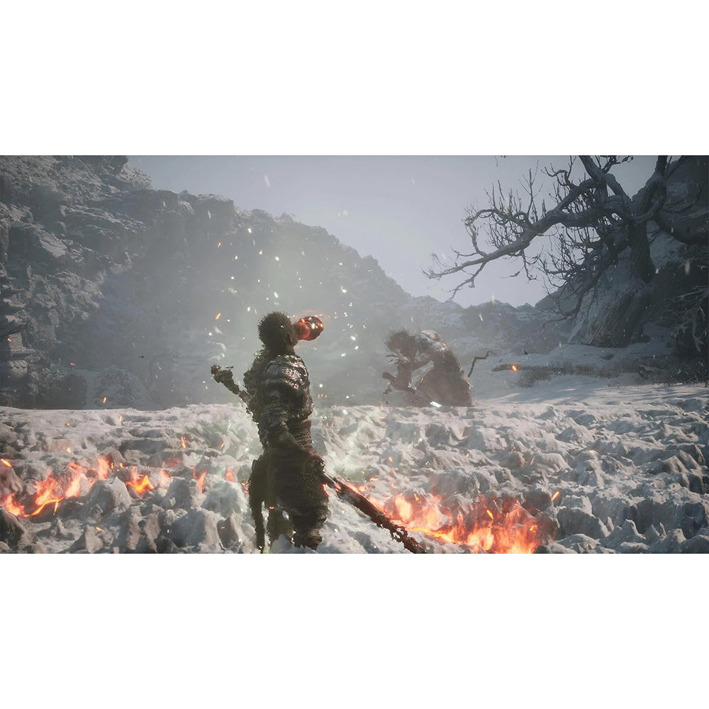 Black Myth: Wukong for PS5