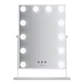 Green Lion Glam Shine Makeup Mirror with 12 LED Lights