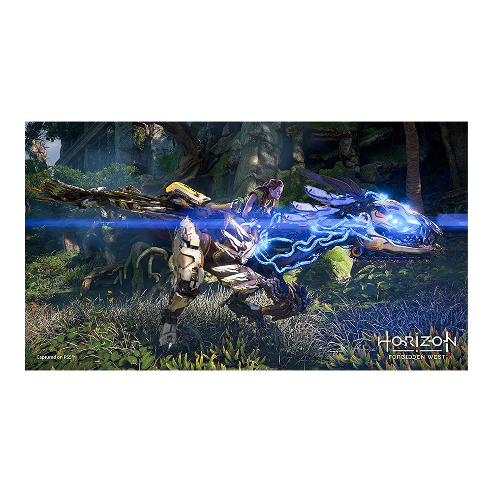 Horizon Forbidden West for PS5