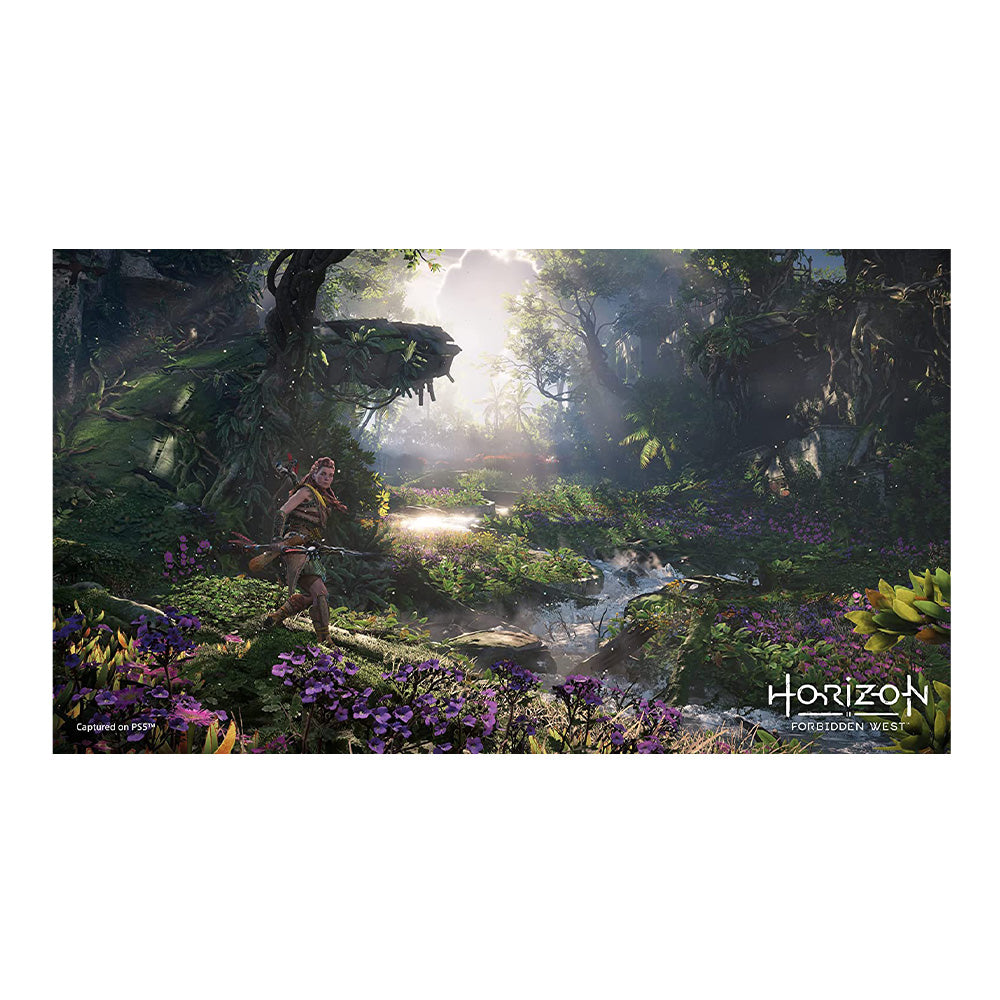 Horizon Forbidden West for PS5
