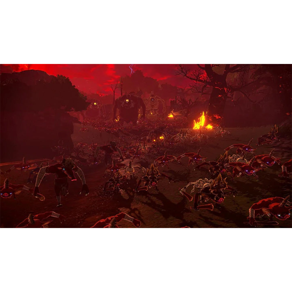 Nintendo Hyrule Warriors: Age of Imprisonment - NS2