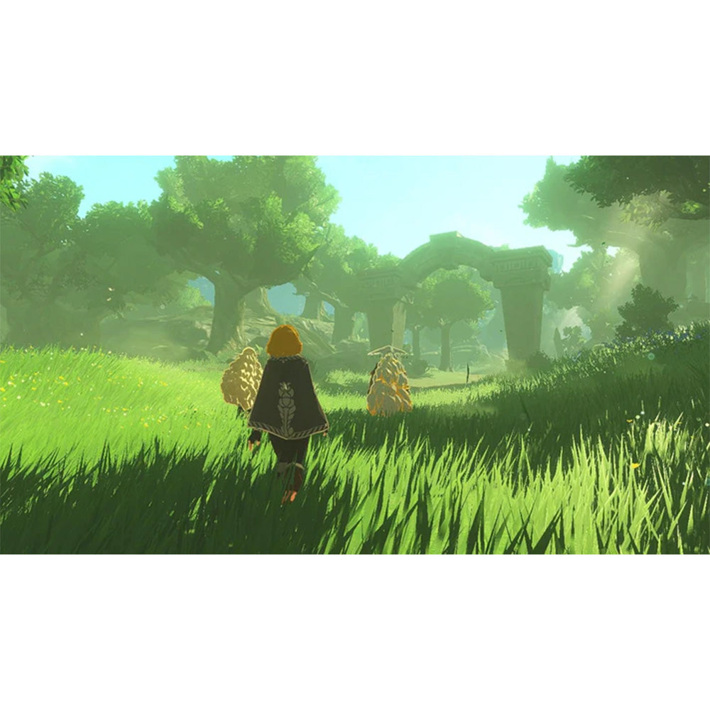 Nintendo Hyrule Warriors: Age of Imprisonment - NS2