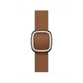 Apple 42mm Chartreuse Modern Buckle - Medium
