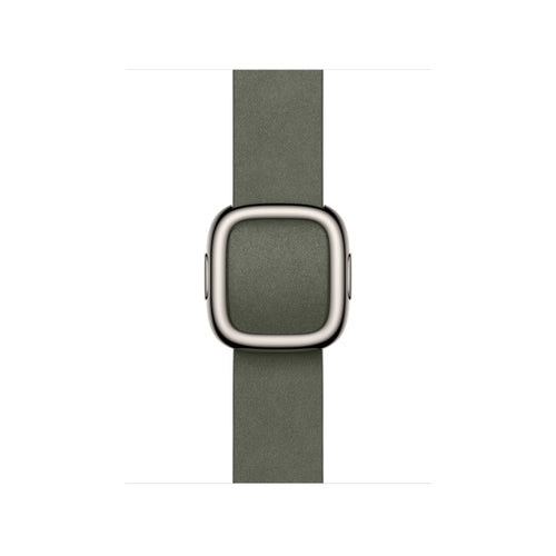 Apple 42mm Sage Grey Modern Buckle - Large
