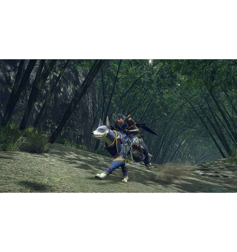 Nintendo Monster Hunter Rise