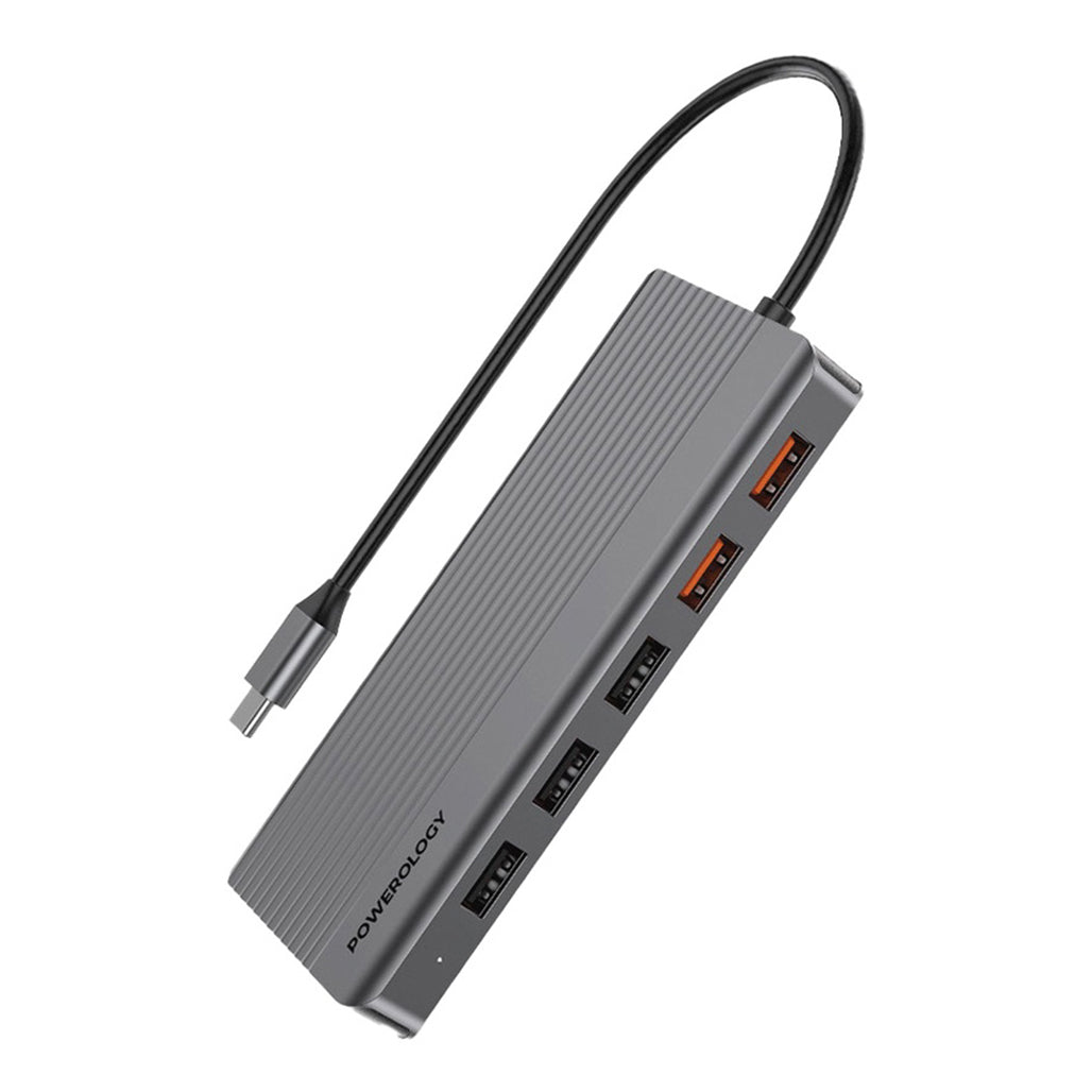 Powerology 12-in-1 USB-C Hub (P121HBCGY)