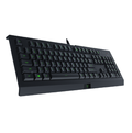 Razer Cynosa Lite - Essential Gaming Keyboard
