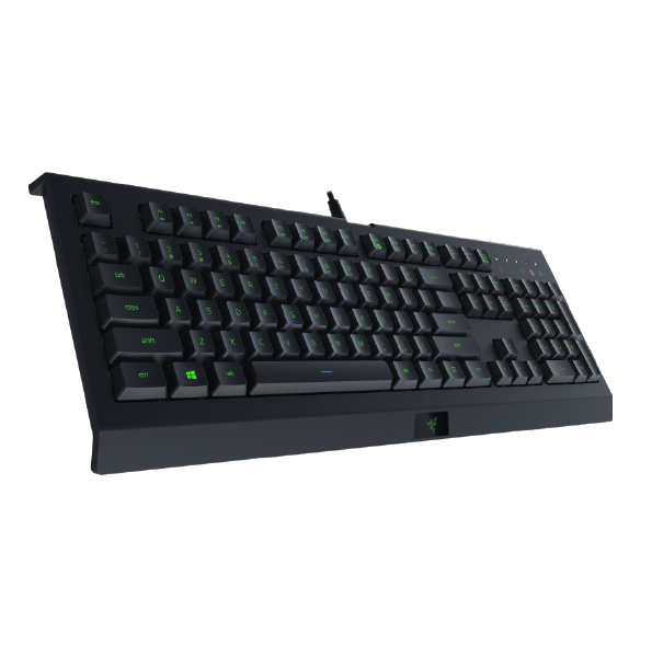 Razer Cynosa Lite - Essential Gaming Keyboard