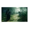 Sony Rise of the Ronin