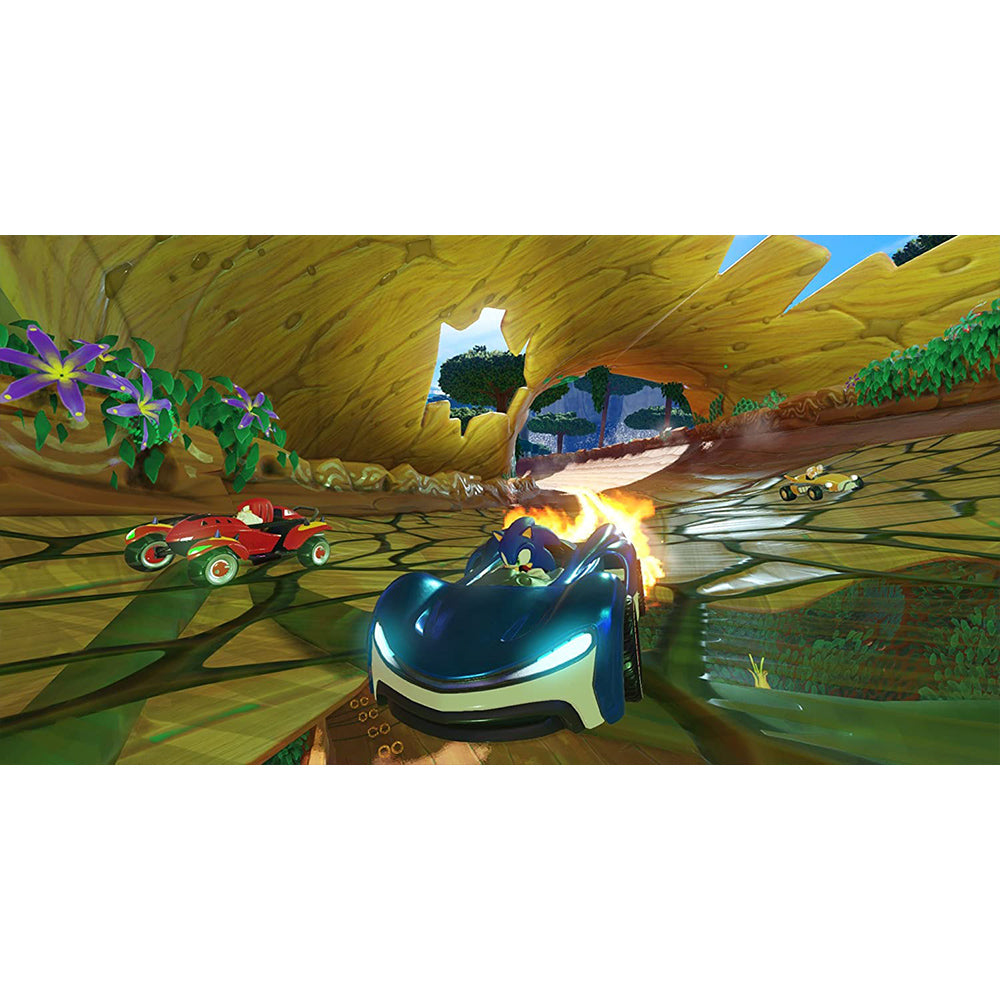 Team Sonic Racing - NS