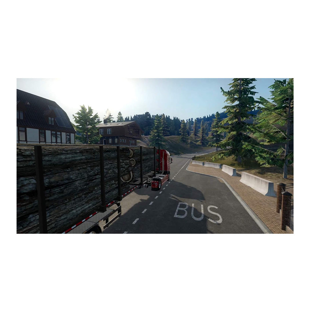 Nintendo Truck Driver - NS