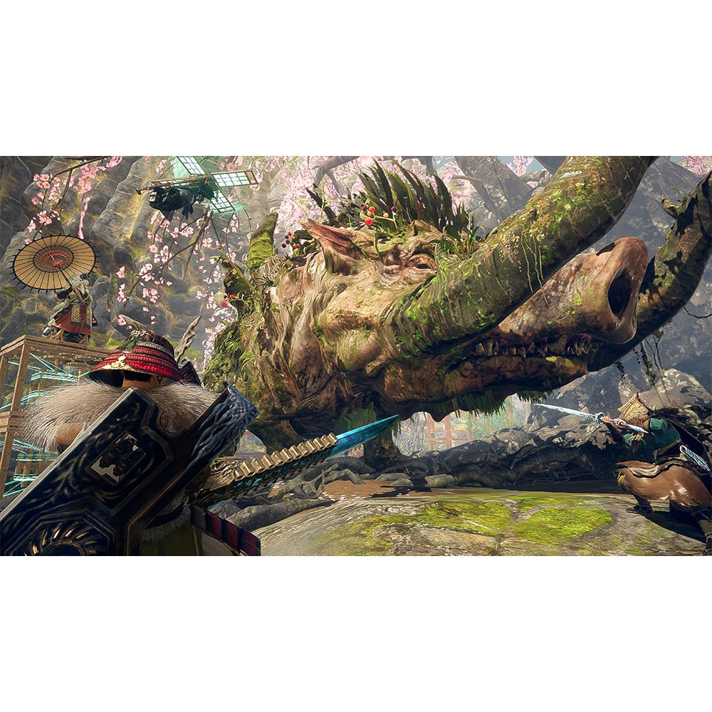 Nintendo Wild Hearts S - NS2