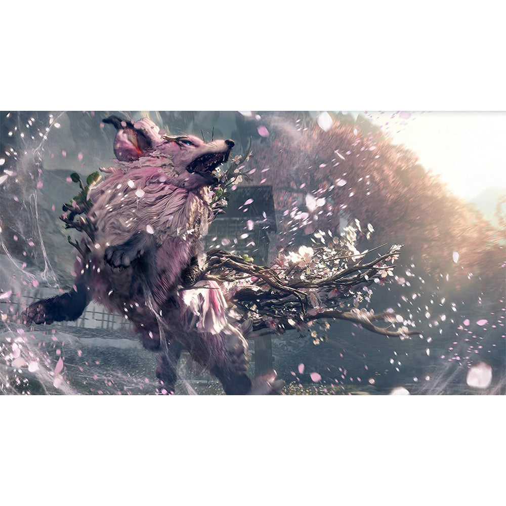 Nintendo Wild Hearts S - NS2