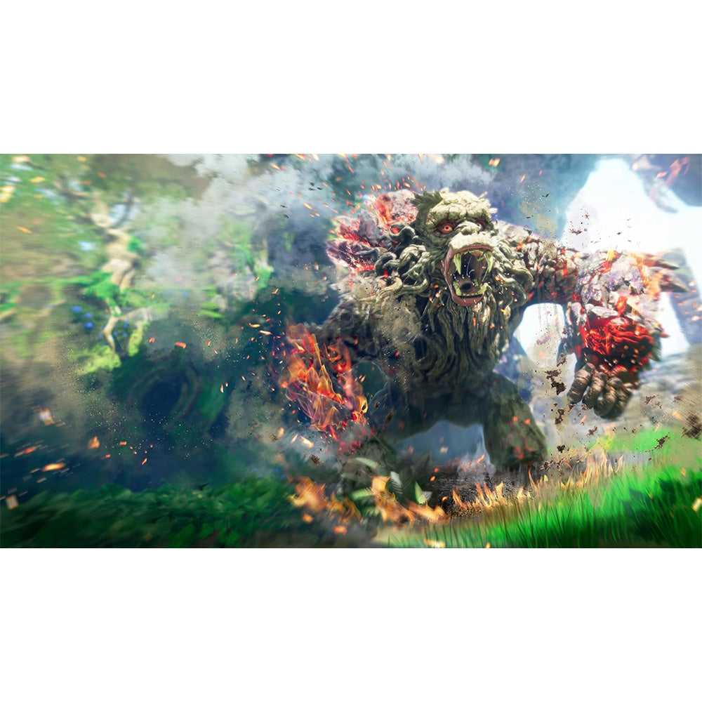 Nintendo Wild Hearts S - NS2