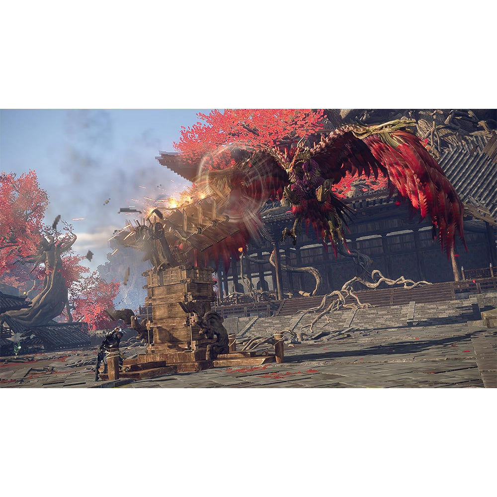 Nintendo Wild Hearts S - NS2