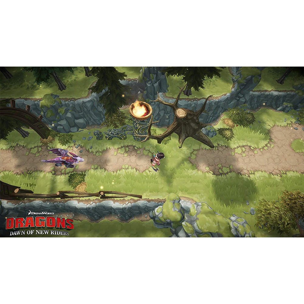 Nintendo DreamWorks Dragons Dawn of New Riders