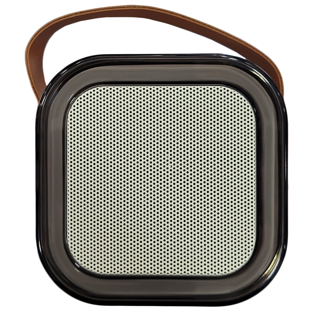Green Lion Duet Echo Lite Karaoke Speaker | GNDUECHL5WBG