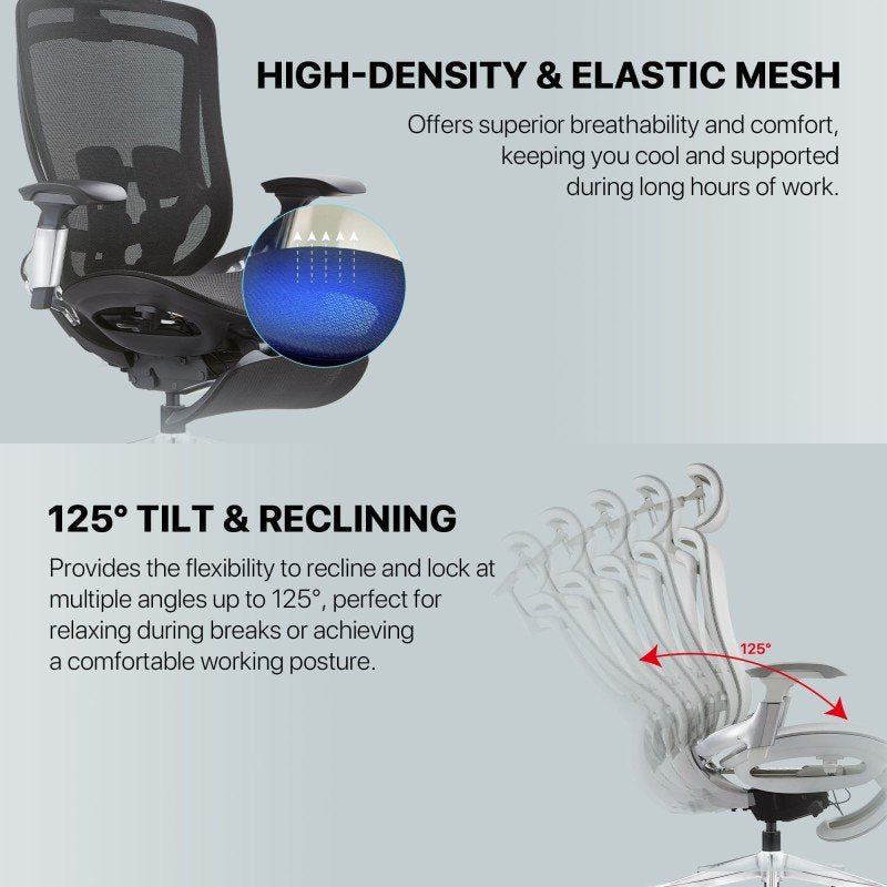 Fantech OC2 Next-Gen Ergonomic Chair – Built for Back Health & All-Day Comfort Blac