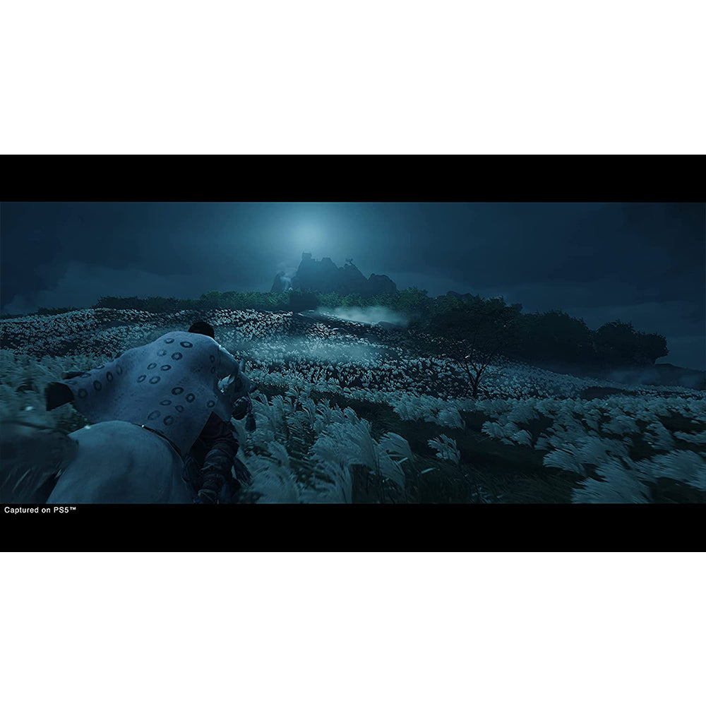Ghost of Tsushima Director's Cut for PS5