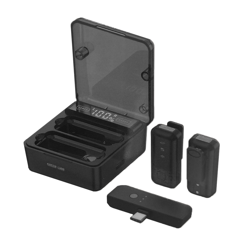 Green Lion 2in1 Digital Display Microphone for Type-C