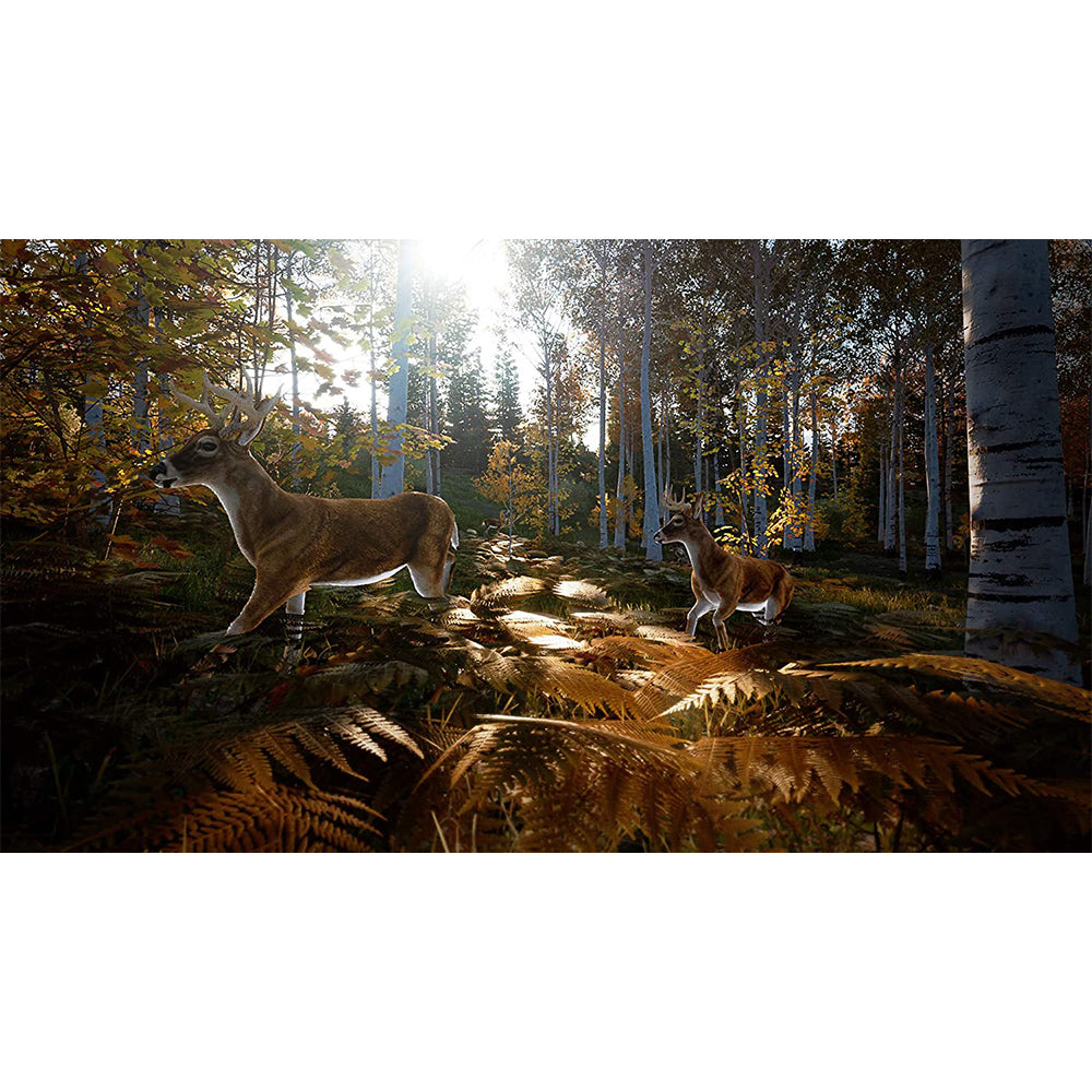 Sony Hunting Simulator 2