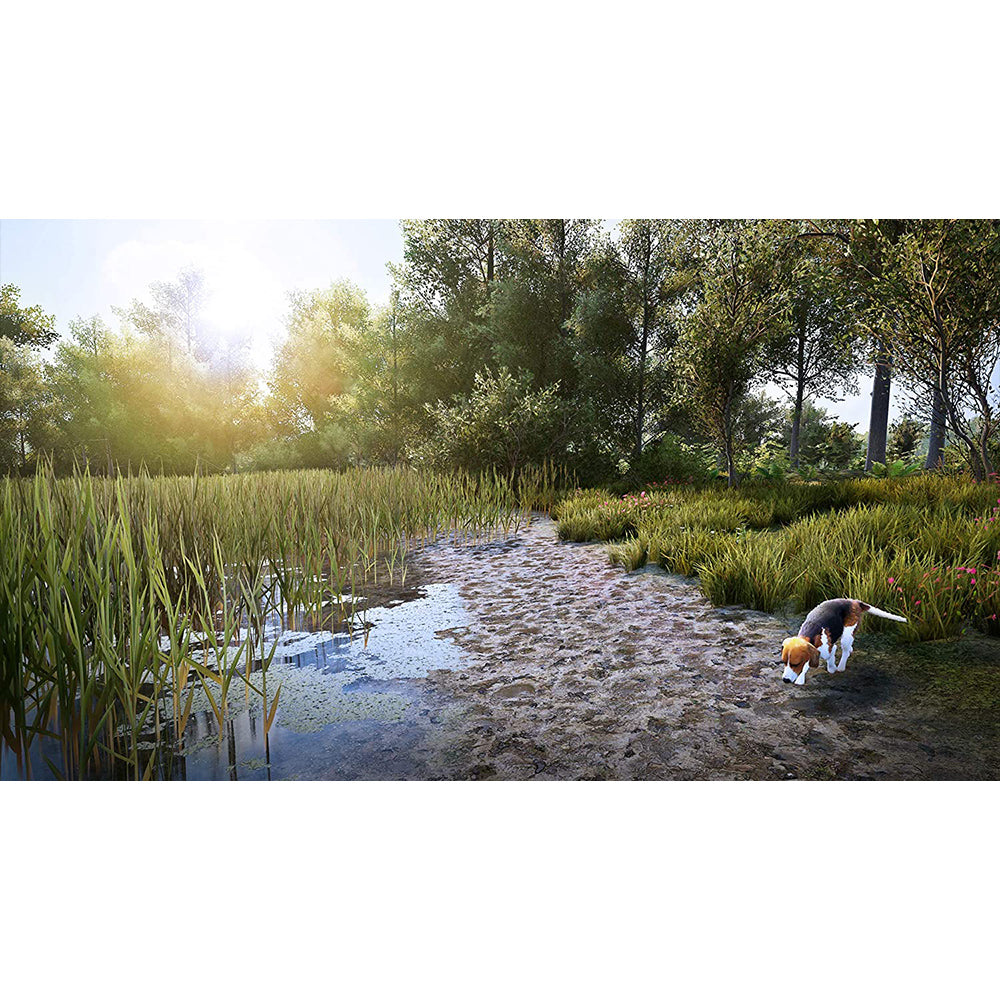 Sony Hunting Simulator 2