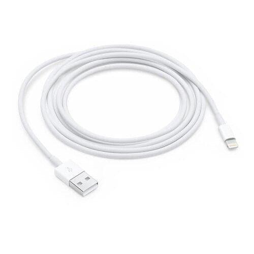 Apple Lightning to USB Cable (0.5 m)