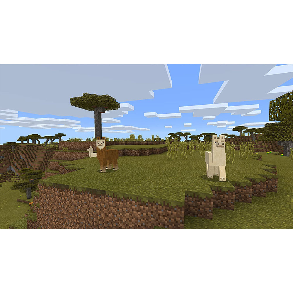 Nintendo Minecraft - NS