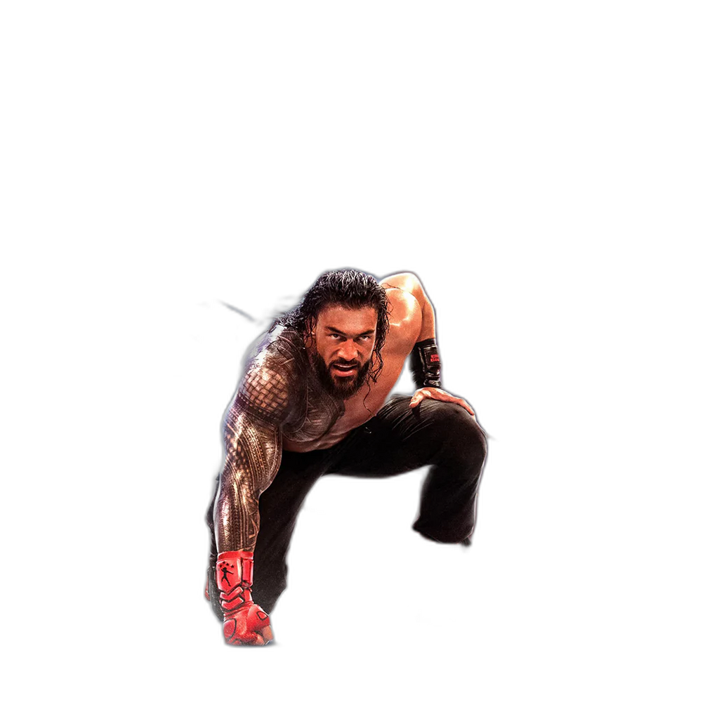 WWE 2K25 for PS5