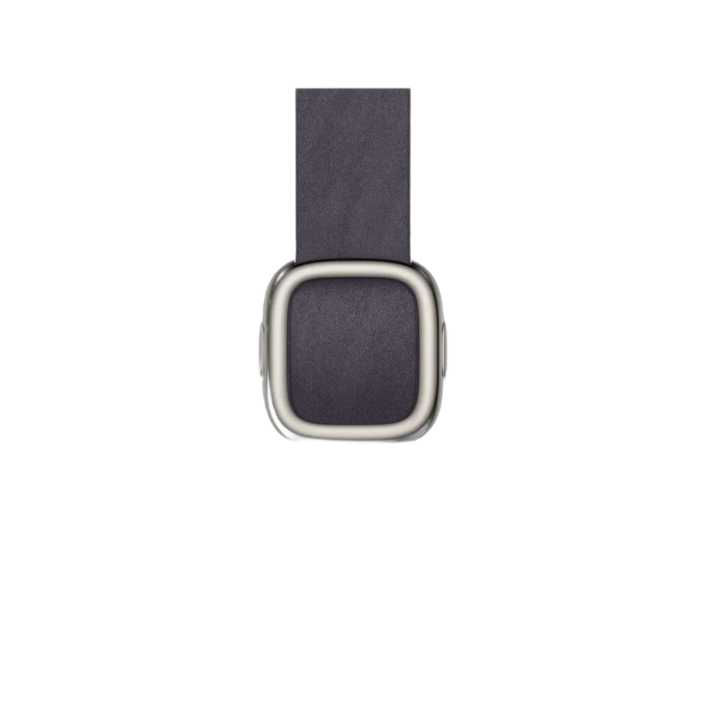 Apple 42mm Midnight Purple Modern Buckle - Large