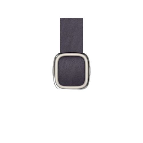 Apple 42mm Midnight Purple Modern Buckle - Large