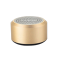 Green Lion Mini Muscle Speaker - Gold | GNMINIMSLSPGD