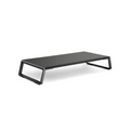 Laptop and Computer Monitor Riser Stand