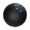 Green Lion Massage Ball - Black