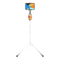 UGREEN 1.7m Adjustable Tripod Stand for Phone and Tablet | 15647