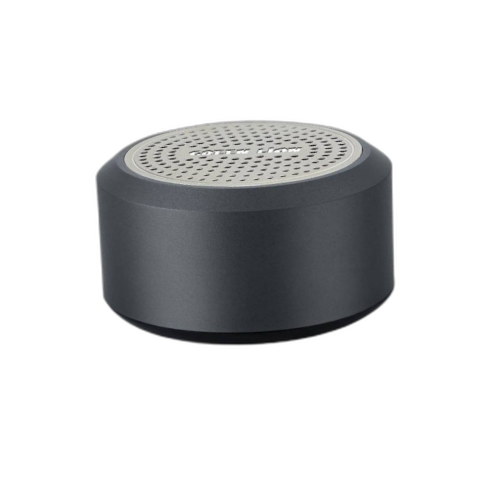 Green Lion Mini Muscle Speaker - Gray | GNMINIMSLSPGY