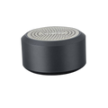 Green Lion Mini Muscle Speaker - Gray | GNMINIMSLSPGY