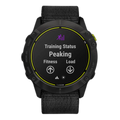 Garmin Enduro 010-02408-01 Carbon Gray DLC