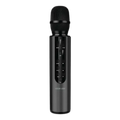 Green Lion Karaoke Microphone - GNKRKM6MICBK - Black