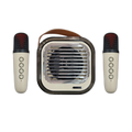 Green Lion Duet Echo Lite Karaoke Speaker | GNDUECHL5WBG
