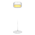 Momax SnapLux Mood Portable LED Lamp QL13