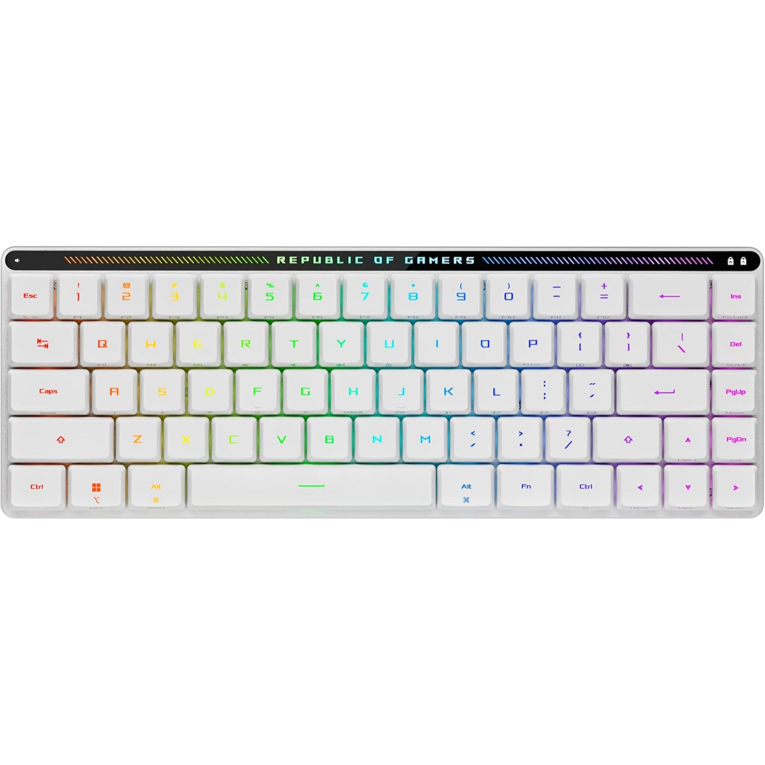 Asus ROG Falchion RX 90MP03ED-BKGA10, Low Profile wireless gaming keyboard, RGB per key, All Keys Programmable