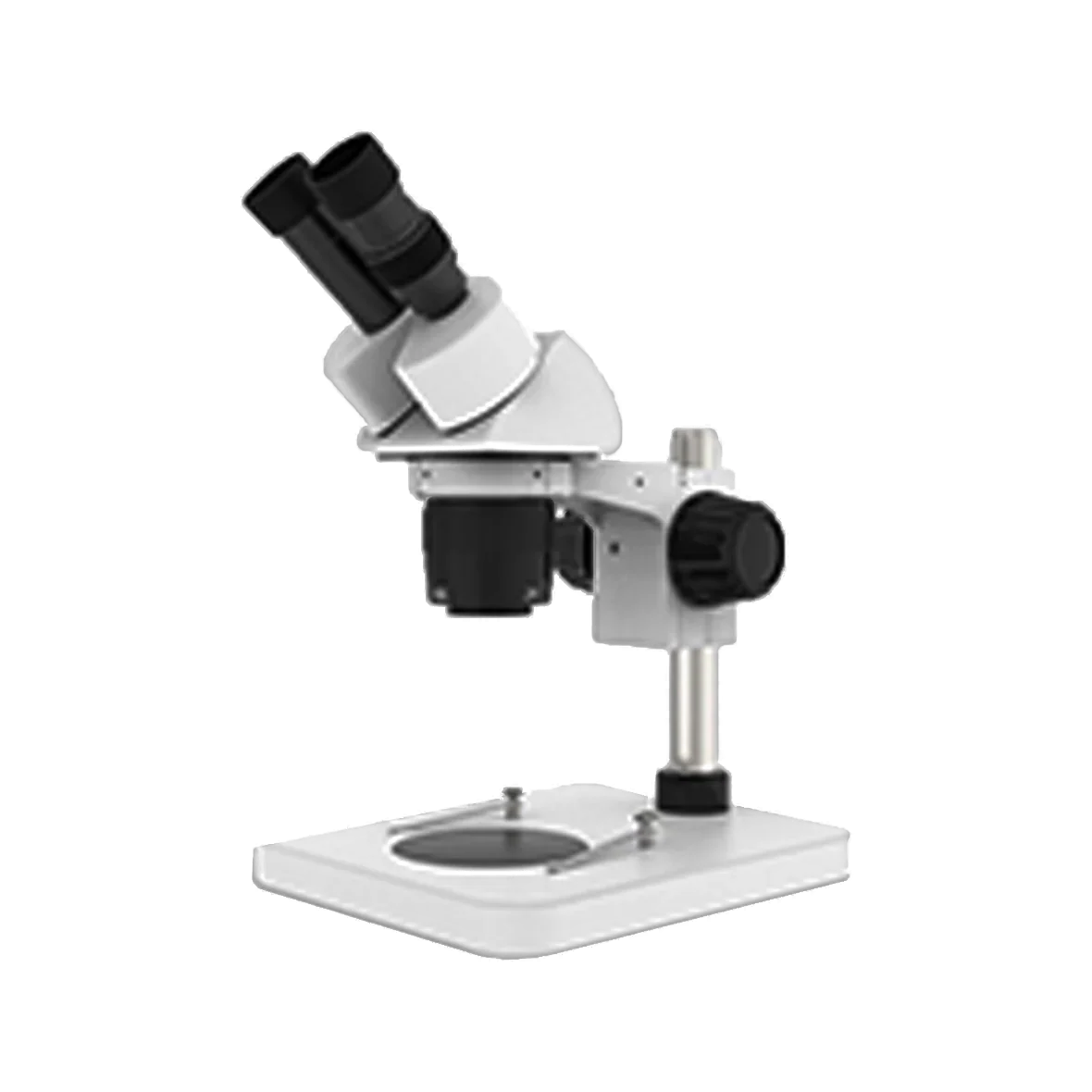 Conqueror Microscope With 2 Binocular 20X / 40X LED Light - CMS745