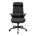 Cougar Stryder Ergonomic Black Gaming Chair CGR-STD-B